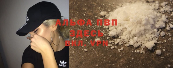 гидра Новозыбков