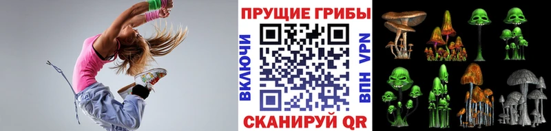 Псилоцибиновые грибы Psilocybe Ивдель